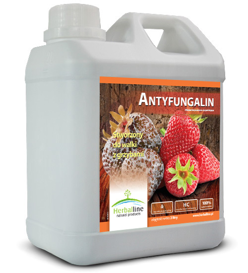 Antyfungalin 2l