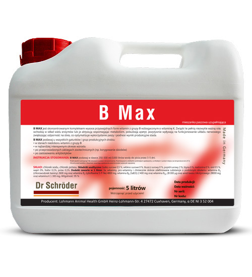 B Max 5l