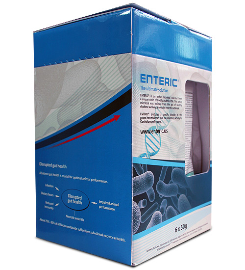 Enteric 6x50g