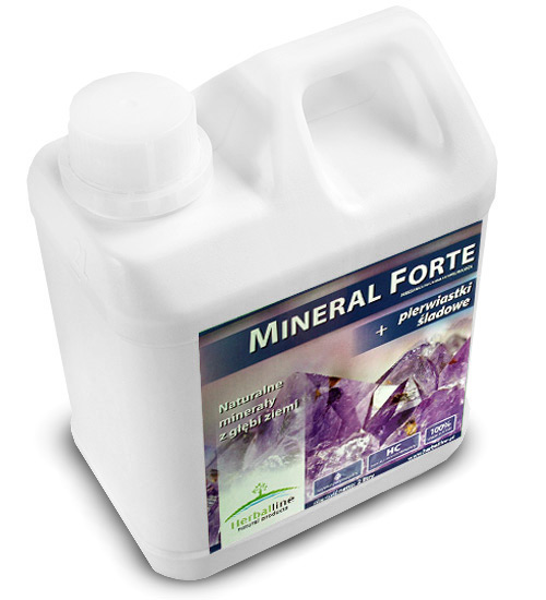 Mineral Forte 2l