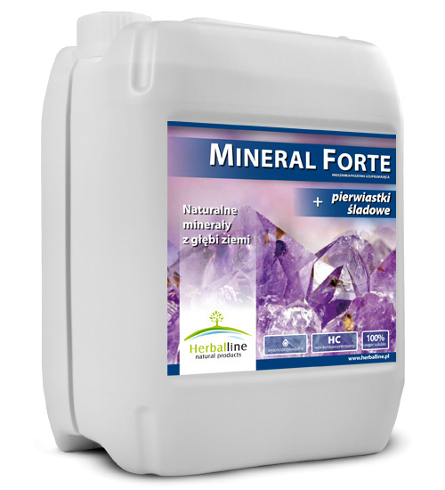 Mineral Forte 5l