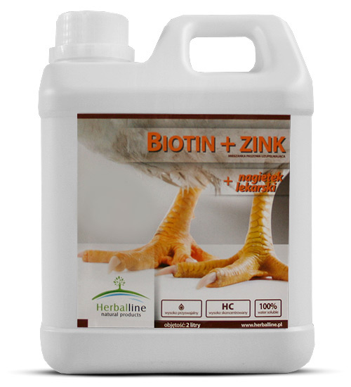 Biotin + Zink 2 l 