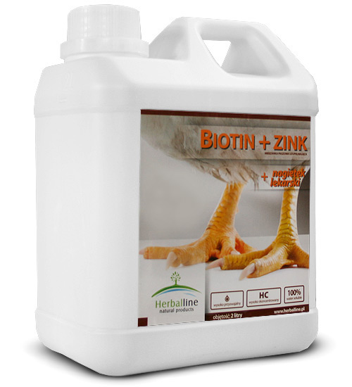 Biotin + Zink 2 l 