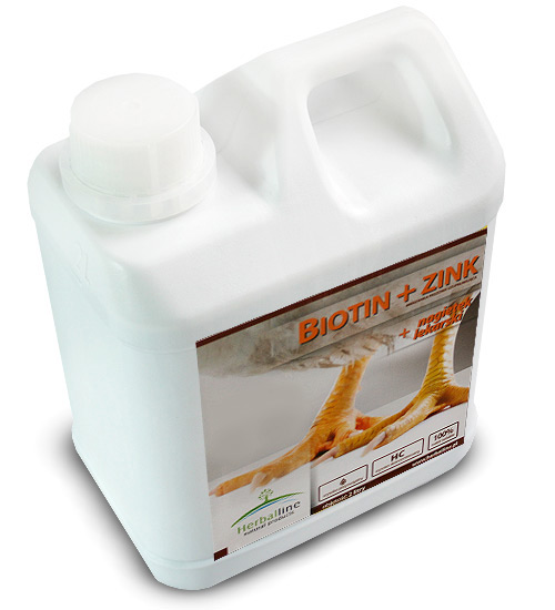 Biotin + Zink 2 l 