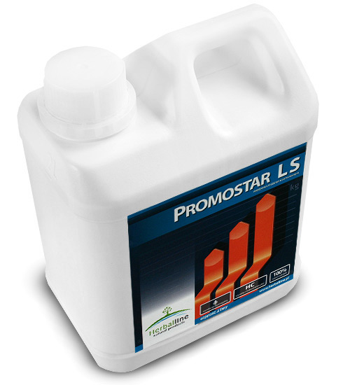 Promostar LS 2l