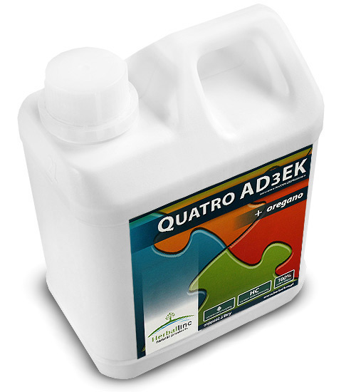 Quatro AD3EK 2l