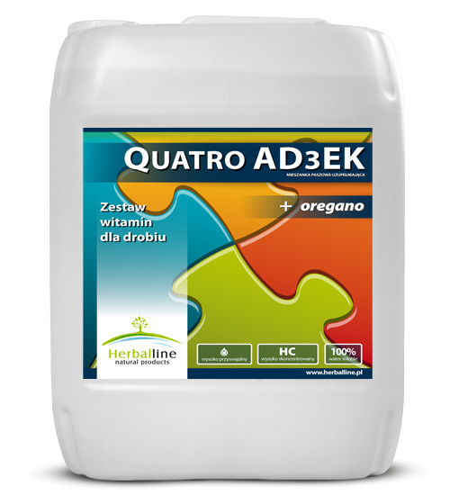 Quatro AD3EK 5l