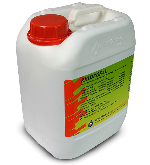 Reidrosal 5 l