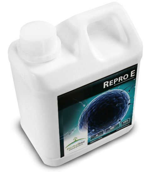 Repro E 2l